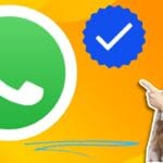 WhatsApp ने जारी किया नया अपडेट, AI के साथ अब WhatsApp Business पर ब्लू टिक
