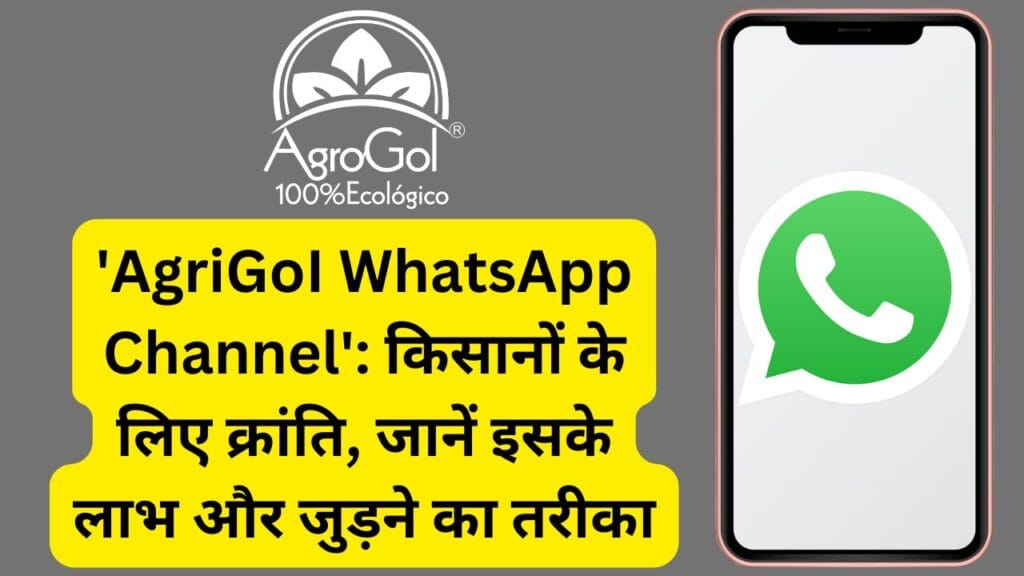 ‘AgriGoI WhatsApp Channel’: किसानों के लिए क्रांति, जानें इसके लाभ और जुड़ने का तरीका