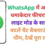 WhatsApp में आया नया धमाकेदार फीचर! डार्क-लाइट मोड के साथ अब बदलें चैट बैकग्राउंड और थीम, देखें पूरा तरीका