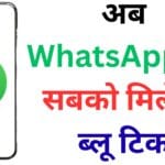 अब WhatsApp पर सबको मिलेगा ब्लू टिक! जानिए कैसे बनाये अपने अकाउंट को Meta Verified और क्या मिलेंगी VIP सुविधाएं