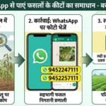 WhatsApp से पाएं फसलों के कीटों का समाधान