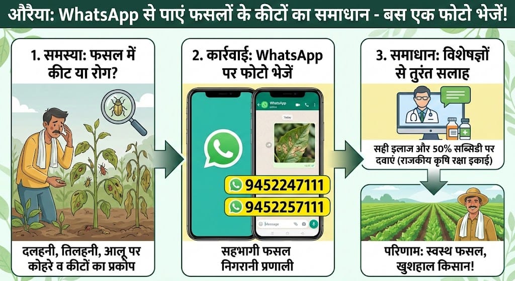 WhatsApp से पाएं फसलों के कीटों का समाधान